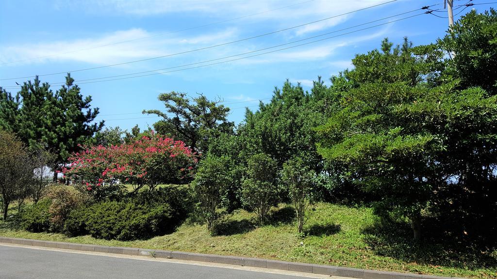 Cardinal House Villa Jeju Eksteriør billede